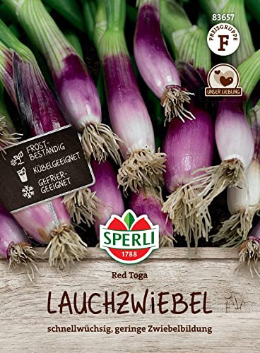 Sperli 83657, Lauchzwiebel Red Toga, Portionssaatgut, schnellwüchsig, geringe Zwiebelbildung, frostbeständig, kübel-, und gefriergeeignet