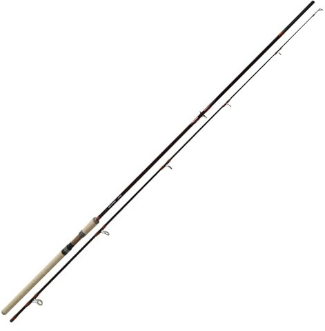 Roy Fishers Atrium-X Spin - Hochwertige Allround Spinnrute aus 100% Kohlefaser (270cm 15-40g)
