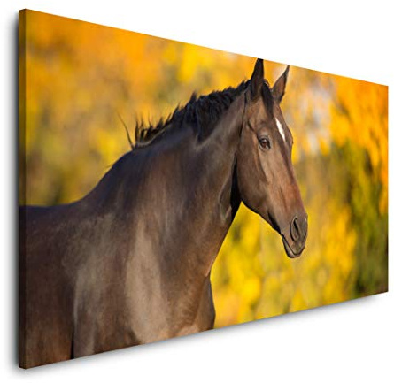 Pferd im Herbst 120x 60cm Panorama Leinwand Bild XXL Format Wandbilder Wohnzimmer Wohnung Deko Kunstdrucke
