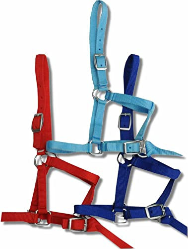 AMKA Halfter für Minishetty Minipony Fohlen, Holzpferd blau Fohlenhalfter Shetty Halfter Nylon mit Führleine HELLBLAU