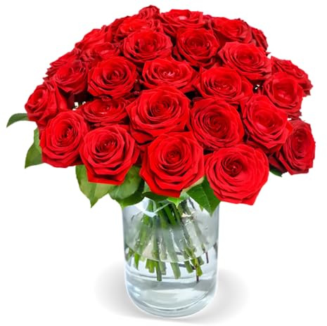 Blume Ideal Rosenstrauß | 15 Red Naomi Rosen | Ø 40–50 cm | Premium Rosen vom Floristen | Top Qualität | 7-Tage-Frischegarantie | Ideales Blumengeschenk