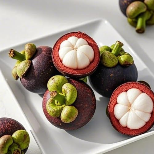 semi di mangostano, resistenti per il giardino Semi di mangostano, serre da balcone giardino vecchie varietà acquistarere, da colonnari resistenti 25pcs