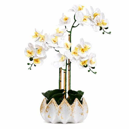 BelaLusa® Künstliche Orchideen wie echt 70 cm - Phalaenopsis im weiß-goldenen Keramik-Topf mit Bambus & Naturmoos, pflegefrei & ohne Gießen - Kunstblumen Deko Wohnzimmer & Büro (Weiß-Gold)