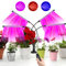 Pflanzenlampe LED,CNMTCCO 80 LEDs 4 Pflanzenleuchte Wachstumslampe 3 Licht-Modi & 10 Dimmstufen 360°Adjustable Schwanenhals ，3/9/12H Timer für große Pflanzen Blum