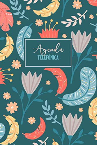 Agenda Telefónica: Cuaderno con espacios preimpresos para registrar nombres, direcciones, cumpleaños, números de teléfono, correos electrónicos | 6x9, 110 páginas