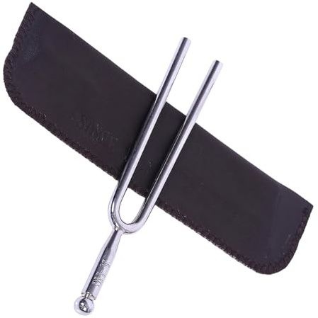 Stimmgabel Präzises aus Edelstahl, Silber, für Instrumente | Längere Klangdauer, Klarer Ton und Schallwahrnehmung, für Musiker und Lehrer, Reise und Zuhause