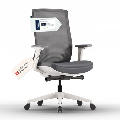 ofinto Ergo Bürostuhl Ergonomisch mit Armlehnen Weiß | Schreibtischstuhl mit Synchronmechanik, Lordosenstütze & Sitzhöhenverstellung | Bequemer Office Chair, PC & Büro Stuhl | Flexibler Drehstuhl
