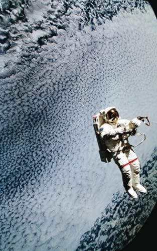Bitcoin Cryptocurrency & Digital Assets: Astronaut Moon Recovery Phrase Offline Security Password Notebook Ledger: Organized Index System With Tabs Dotted Logbook Ledger: 5” x 8” 110 Pages: