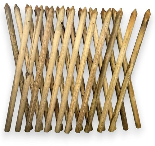 Briconess.com Recinzione Traliccio Estensibile 250 cm Max in Legno di Pino per Esterno LASA - 100 cm