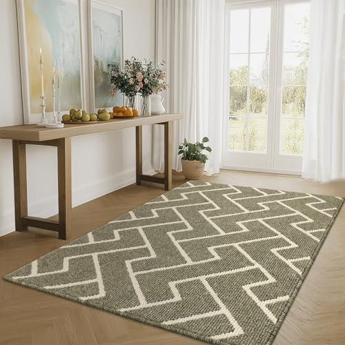 Biscpro Schmutzfangmatte 90 x 150, Rutschfestigkeit Fußmatte,Maschine gewaschen Türmatte für Hund, Außen Innen Garten,Teppich,küchenteppich,Haustür