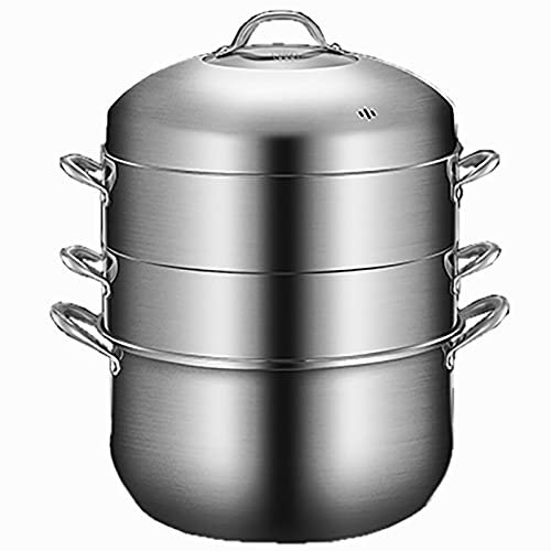 ANSNOW Stock Pot Double Boiler/Glass Lid, Stainless Steel Steamer, 3 Tier Steamer, Steamer Insert, Pan Cook Steamer Pan Large Soup Pot for Cooking, Silver/26Cm