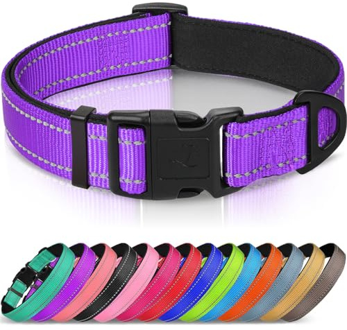 Joytale Reflekterande hundhalsband, vadderad andningsbar mjuk neopren nylon husdjurshalsband justerbar för valpar och små hundar, XS, lila