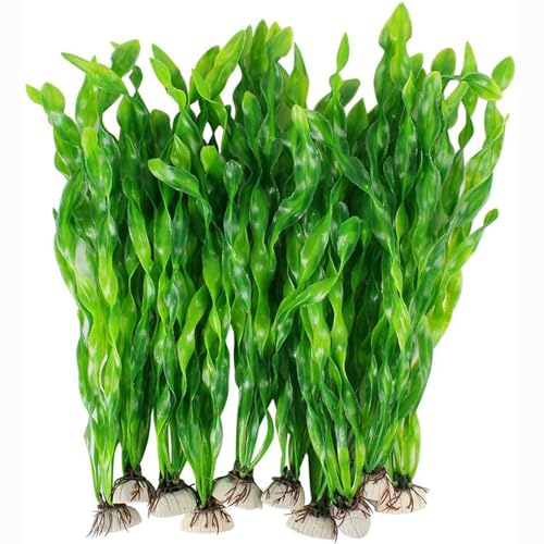 Shinekoo Lot de 10 plantes artificielles en plastique pour aquarium - Algues d'eau artificielles - Plantes sous-marines pour décoration d'aquarium