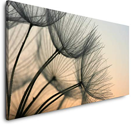 Pusteblumen 120x 60cm Panorama Leinwand Bild XXL Format Wandbilder Wohnzimmer Wohnung Deko Kunstdrucke