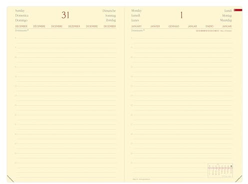 Daily 24 Brand Lavendelblau 2025: Kalender im Schreibtischformat [Hardcover] Quo Vadis