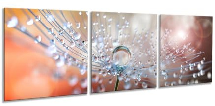artissimo Glasbilder 3 teilig je 50x50 cm Pusteblume Wassertropfen AG5290A – Glasbild Set modern, mehrteilig, XXL Wandbilder, Wanddeko Bild orange natur floral