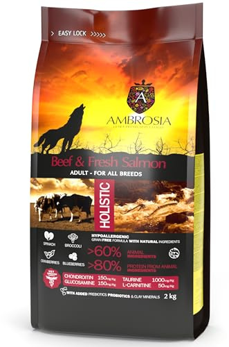 Ambrosia Rindfleisch & frischer Lachs hundefutter trocken für Mini-Rassen | Getreidefrei & Hypoallergen | Proteinreiches trockenfutter für Hunde (2 kg Packung)
