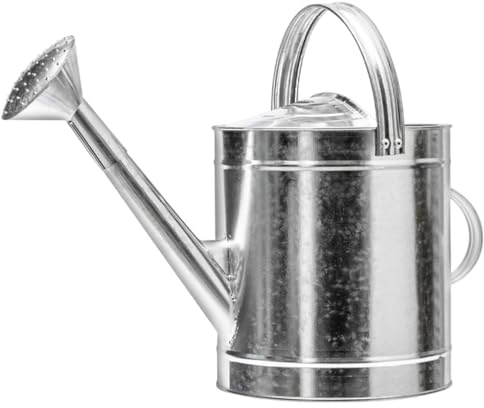 Regadera de Metal de Gran Capacidad de 7 litros, regadera de Acero Inoxidable con Pico Largo y Mango, Decorativa para Plantas de Interior y Flores de jardín