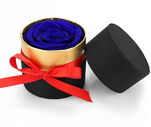 RANJIMA Eviga rosor, Infinity Rose äkta rosor bevarade rosor handgjorda, roslåda med konserverade blommor, julklapp till mamma/kvinna/flickvän, gåva romantisk, blå