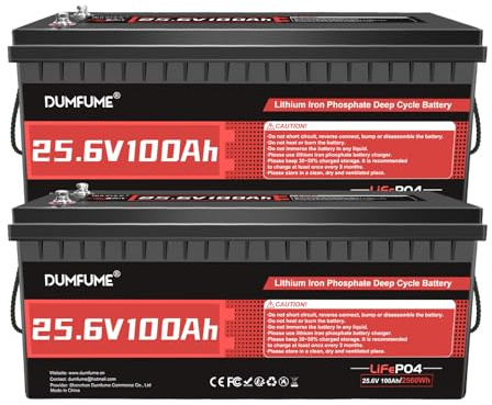 2er Pack Dumfume 24V 100Ah LiFePO4 Batterie, 100A BMS 2560Wh | Low Temperature Protection 24V Batterie Perfekt für Größere Solaranlagen, Wohnmobil Ausbau, Haustechnik und Home Backup