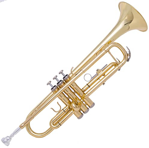 Student Trompete Blechblasinstrument Messing Lackiert Gold Anfänger Flat Alt Entry Band Trompete Instrument Mit Box Trompete