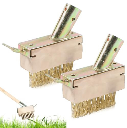 DHSWNNG 2 Stück Fugenbürste Stahlbürste, Fugenkratzer Unkraut Fugenreiniger Unkrautbürste Gartenbesen zum Beseitigen von Gras Moos Platten Fugen Mauerkanten