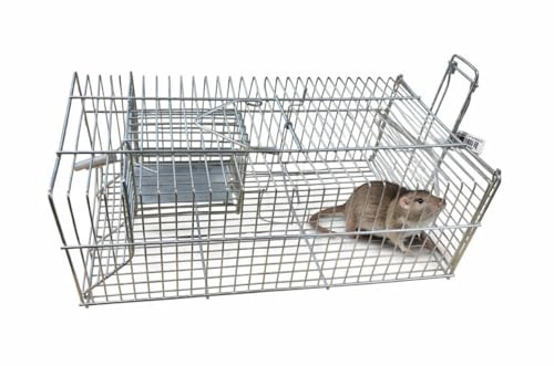 Trampa para Ratas de Doble Entrada 350 × 190 × 135 mm. Puerta con muelles y trampilla.