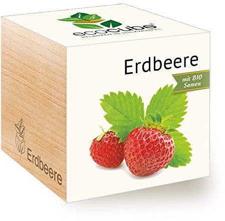 Feel Green 296350 Ecocube Erdbeere, Bio Samen, Nachhaltige Geschenkidee (100% Eco Friendly), Grow Your Own/Anzuchtset, Pflanzen Im Holzwürfel, Made in Austria