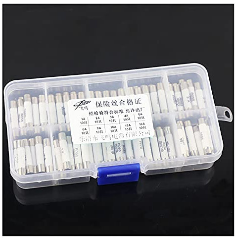 PAKMEZ Sicherung, 100 Stück, Keramiksicherung, 5 mm x 25 mm, träge T 1 A, 2 A, 3 A, 4 A, 5 A, 6 A, 8 A, 10 A, 15 A, 16 A, 250 V