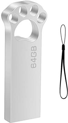 Chiavetta USB 64 GB, Metallo Penna USB 64GB Portatile USB Key 64 giga Pendrive USB 2.0 Flash Drive 64giga Memoria Esterna PC per pc portatile, ecc (Argento)