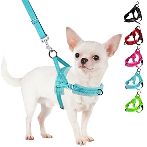 SlowTon No Pull Small Dog Harness and Leash Set, Puppy Soft Vest Harness Neck & Chest Adjustable, Reflective Lightweight Harness & Anti-Twist Pet Lead Combo for Small Medium Dogs(BL-Front Clip,S)