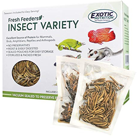 Fresh Feeders (Insect Variety) - All Natural High Protein Insect Treat - Single Serving Pouches - Chickens, Wild Birds, Hedgehogs, Bluebirds, Reptiles, Sugar Gliders, Opossums, Skunks, Lizards