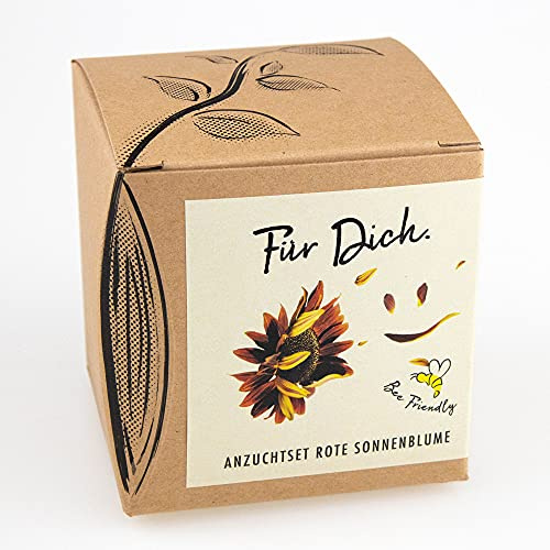 Geschenk-AnzuchtsetFür Dich - Sonnenblume Abendrot