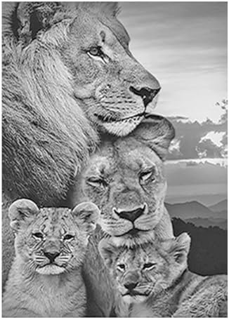 SHEGZHUC Diamond Painting Löwe und Löwin 40x50cm Schwarz Weiß Malen nach Zahlen 5D Diamant Painting Löwe Diamond Painting Tiere Perlenbilder Erwachsene Tiere Craft Buddy