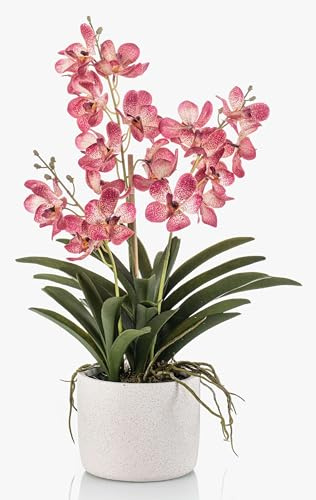 artplants.de Dekorativ Vanda-orkidé PAVRA i keramikkruka, rosa-vit, 60 cm