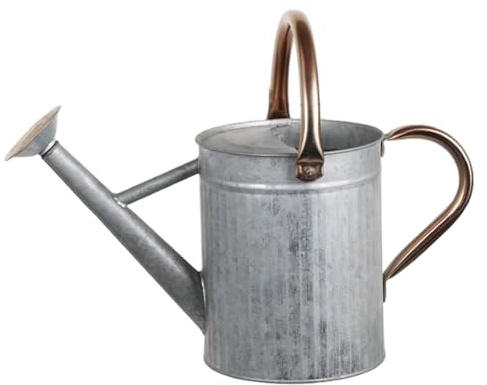 Edelstahl-Gießkanne, 1, 3 Gallonen/5 l große Metallkanne – mit abnehmbarem Ausguss und 2 Griffen für drinnen und draußen (Silber)