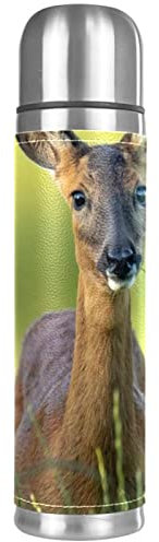 Isolierte Wasserflasche Edelstahl-Wasserflaschen Metall-Wasserflasche,Tier, Hirsch auf dem Gras