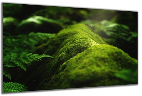 DARO Design - Wand-Bild auf 6mm HDF 40x30 cm Moos Wurzel Wald Baum - Wand-Deko Bilder Geschenk
