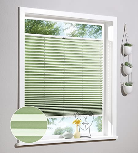 Deco Home | Plissee nach Maß, Personalisierbare Plissees mit & ohne Bohren, Sichtschutz Fenster, Faltrollos | Hellgrün