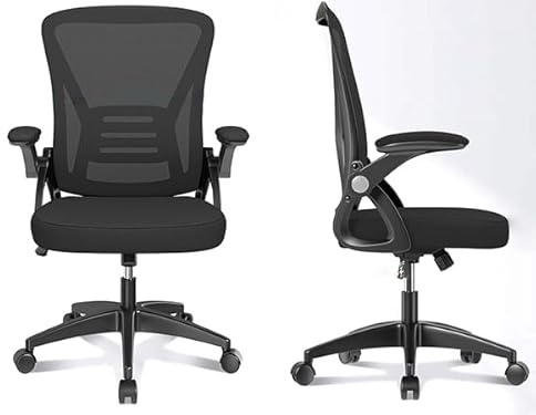 FENIXSHOP24 Sedia da Ufficio Ergonomica con Supporto Lombare, con Braccioli regolabili, Regolazione in Altezza, Poltrona girevole con ruote e rete traspirante – Nera - HLD-1809