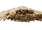 Super Idee 200 Weizenhalme + 50 Schilfröhrchen + 20 Bambusröhrchen Fertigröhrchen 20cm Niströhren Füllmaterial Nisthilfe Bienen Wildbienen für Insektenhotel Insektenhaus Bienenhotel Wildbienenhaus
