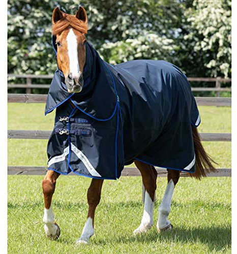 wasserdichte Outdoor-Decke für Pferde mit Halsabdeckung Premier Equine Buster 40g