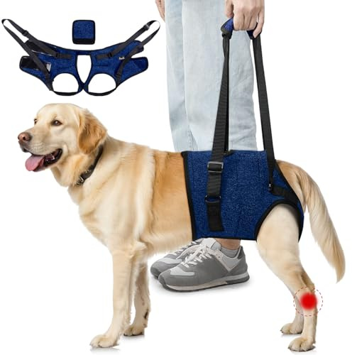 SlowTon Imbracatura di supporto per zampe posteriori Imbracatura per cani di taglia media - Comoda imbracatura di sollevamento per cani regolabile per anziani feriti Artritici disabili (Blu, M)