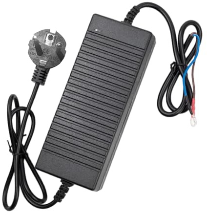 XLSBZ 12V Standheizung Diesel Netzteil, 230V auf 12V Netzadapter für 5kW 8kW All-in-One Diesel-Luftheizung, Spannungswandler für LKW, Transporter, Wohnmobil