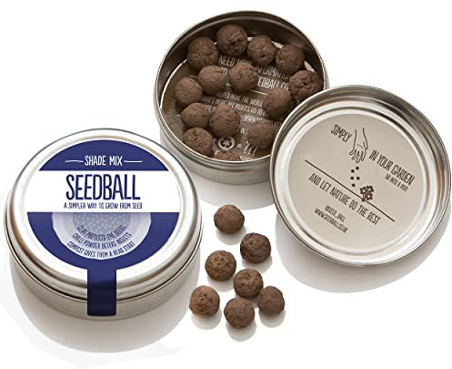Seedball Shade Mix Seed Bombs (Wild Flower Tin) – 20 Seed Balls Per Pack | British Wildflower Seeds for Shady Areas - Clay Seed Bomb Designed for Planting in Areas of Dappled Sun and Shade