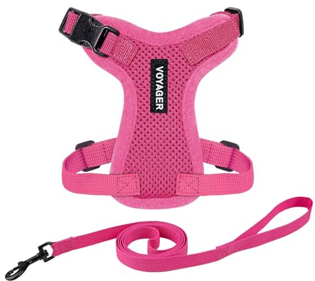 Voyager Step-in Lock Katzengeschirr und reflektierende Katzenleine mit Neoprengriff by Best Pet Supplies - Unterstützt kleine, mittelgroße und große Katzenrassen, Fuchsia, size XXXS - 1,5 m