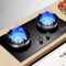 Cuisinière À Gaz Intégrée En Acier Inoxydable De 73 Cm, Cuisinière À Gaz À 2 Brûleurs 5,2 KW, Minuterie Indépendante Double Face, Dispositif De Protection Contre Les Extinctions Accidentelles(NG)