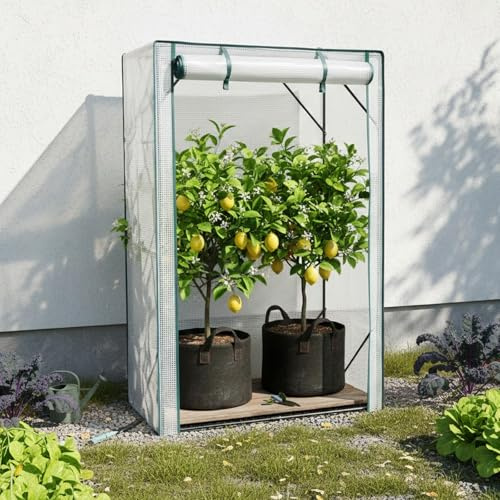 Gegaden Foliengewächshaus, Gewächshaus für Balkon Gewächshaus klein, Tomatengewächshaus, Garten Anzuchthaus, Anzuchtregal Greenhouse Stabil, 150x100x50 cm, Weiß
