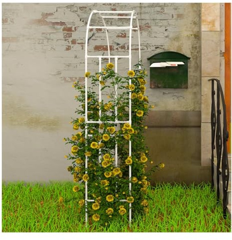 Soporte de enrejado trepador, estante para plantas montado en la pared para uso en interiores y exteriores, ideal para colgar macetas de escalada en patio, jardín o balcón