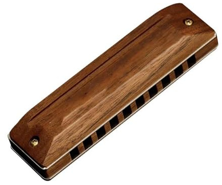mundharmonika anfänger Mundharmonika 10 Löcher 20 Melodien Mundharmonika Blues Deluxe-Mundharmonika Tonart C Für Anfänger Und Erwachsene
